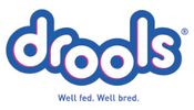 logo of Drools